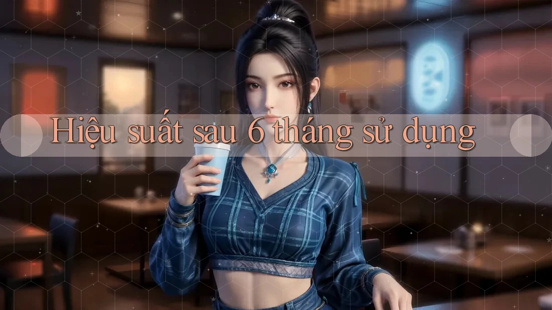Hiệu suất sau 6 tháng sử dụng Hiệu suất sau 6 tháng sử dụng