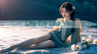 Liên kết Link vào